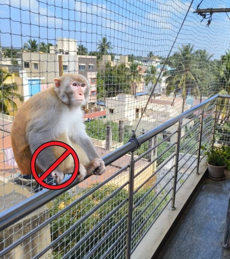 Monkey safety nets in Chennai protecting balconies, windows, and open spaces with durable UV-resistant safety nets
